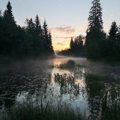 Jāņu rīts pie Gaujas. Autore: Līga Lūse-Zambare
