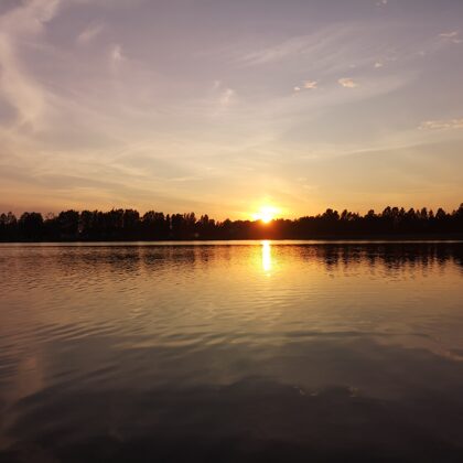 Saulriets Sasmakas ezerā. Autore: Līga Lūse-Zambare