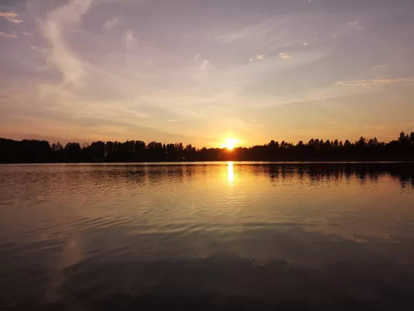 Saulriets Sasmakas ezerā. Autore: Līga Lūse-Zambare